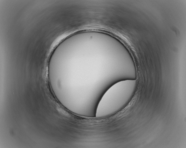 X0000113271366200909101302