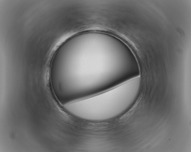 X0000113271367200909101302