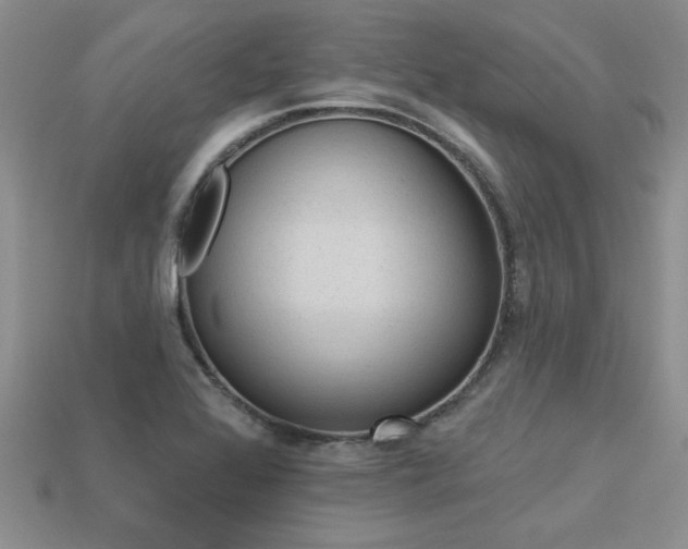 X0000113271368200909101302