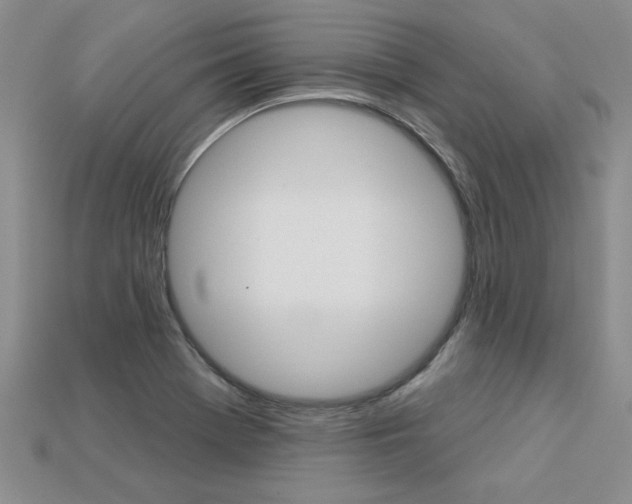 X0000113271369200909101302