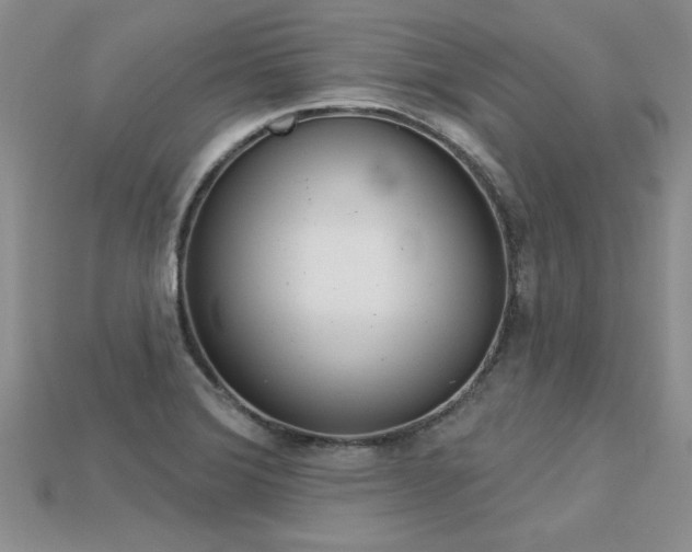 X0000113271372200909101302