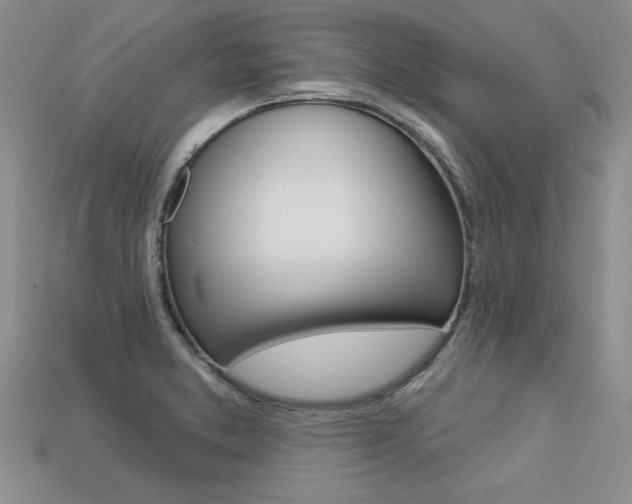 X0000113271373200909101302