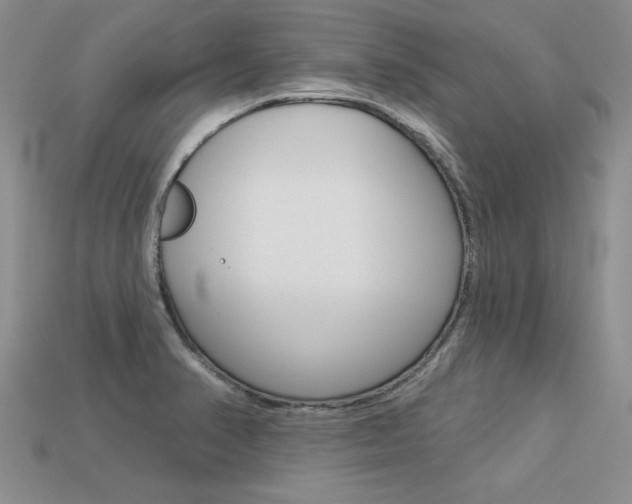 X0000113271374200909101302