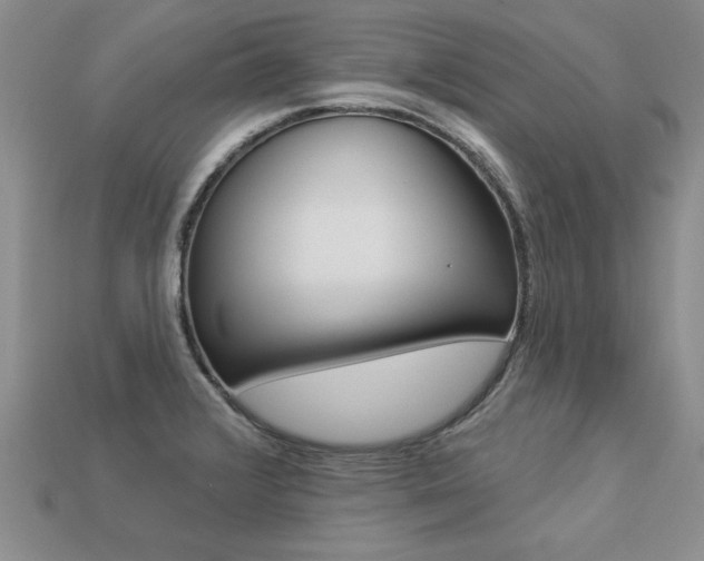 X0000113271376200909101302