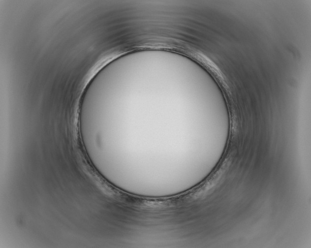 X0000113271378200909101302