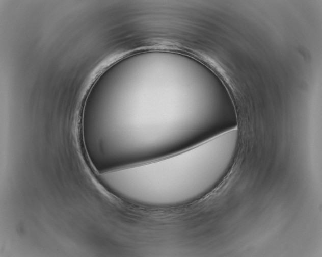 X0000113271379200909101302