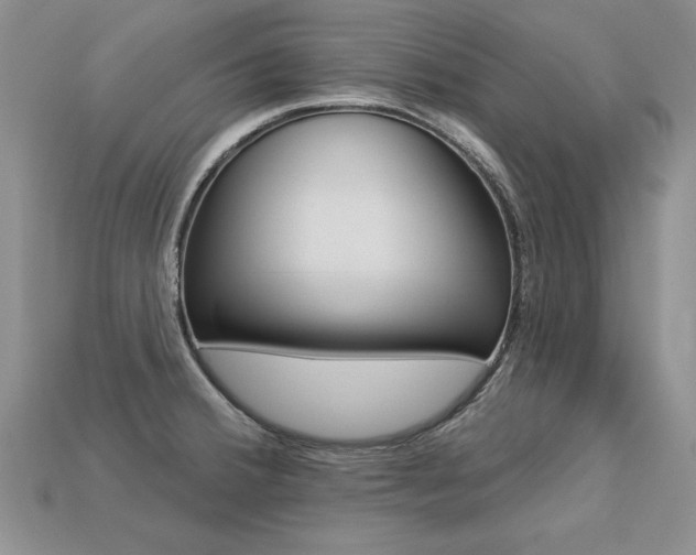 X0000113271380200909101302
