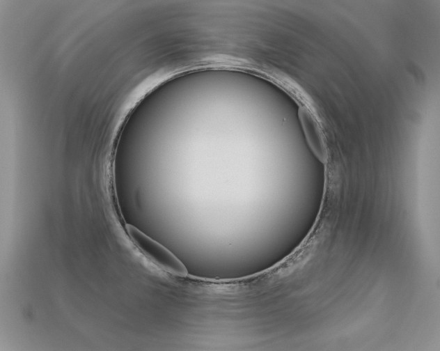 X0000113271381200909101302