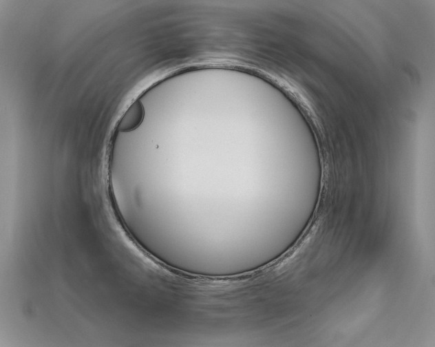 X0000113271382200909101302