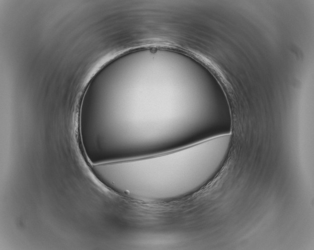 X0000113271383200909101302