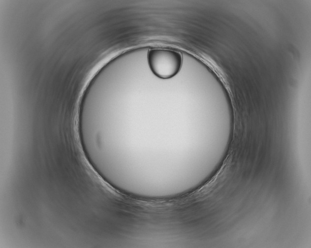 X0000113271384200909101302