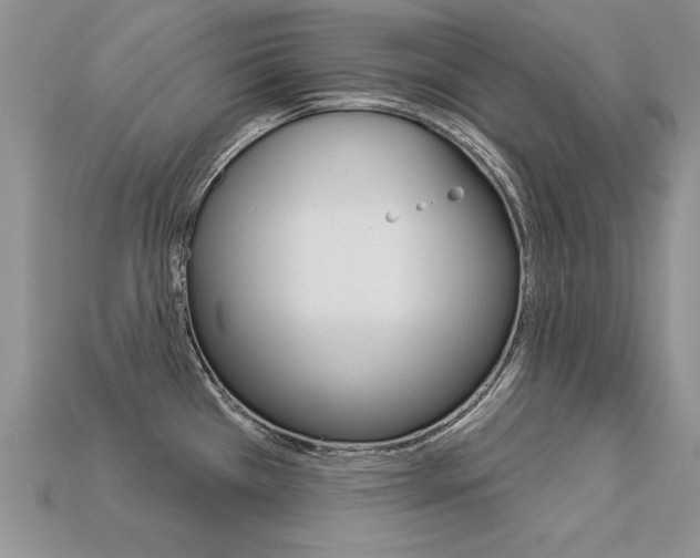 X0000113271385200909101302