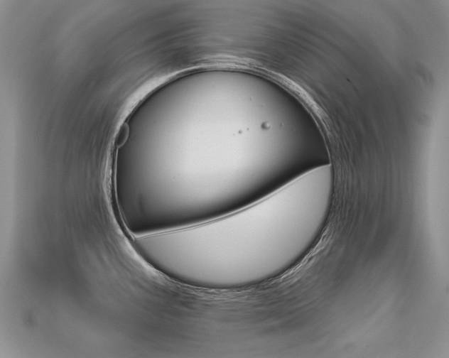 X0000113271387200909101302