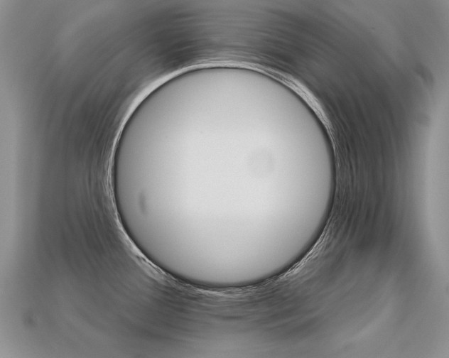 X0000113271388200909101302
