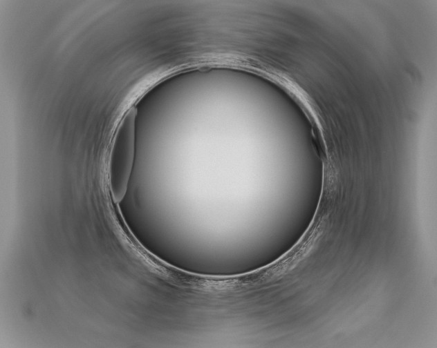 X0000113271389200909101302