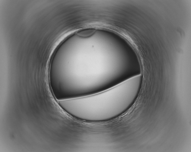 X0000113271392200909101302