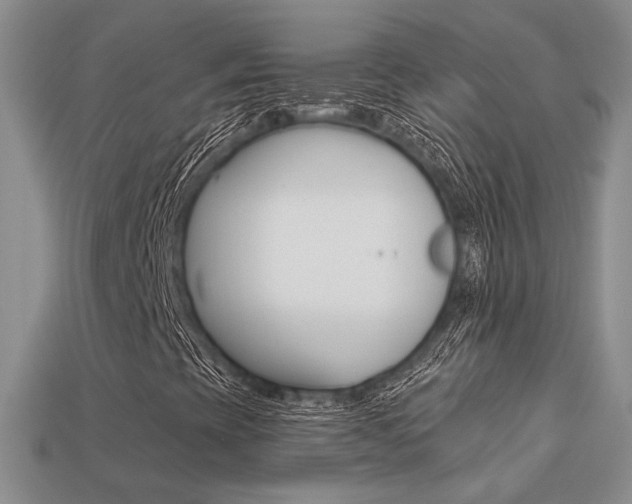X0000113271393200909101301