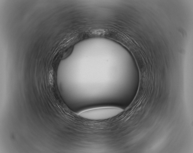 X0000113271394200909101301