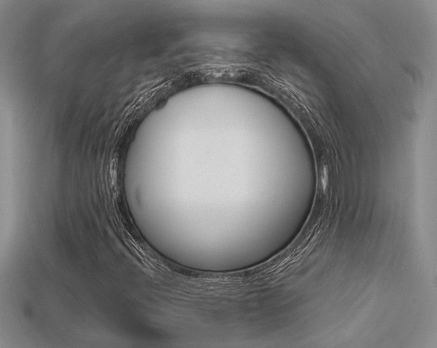 X0000113271396200909101301