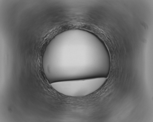 X0000113271397200909101301