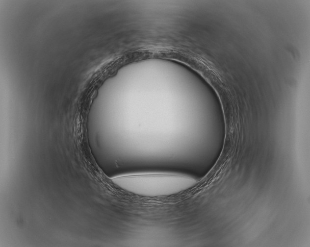 X0000113271398200909101301