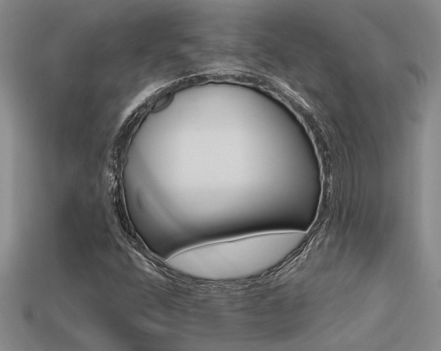 X0000113271400200909101301