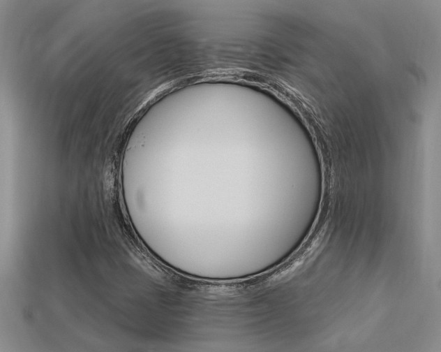 X0000113271401200909101301