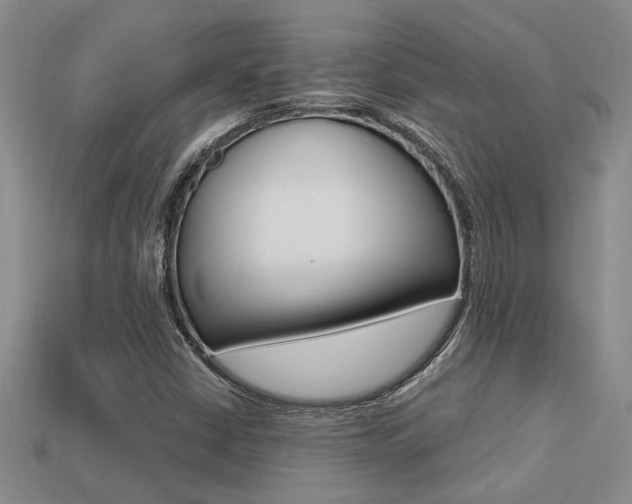 X0000113271402200909101301