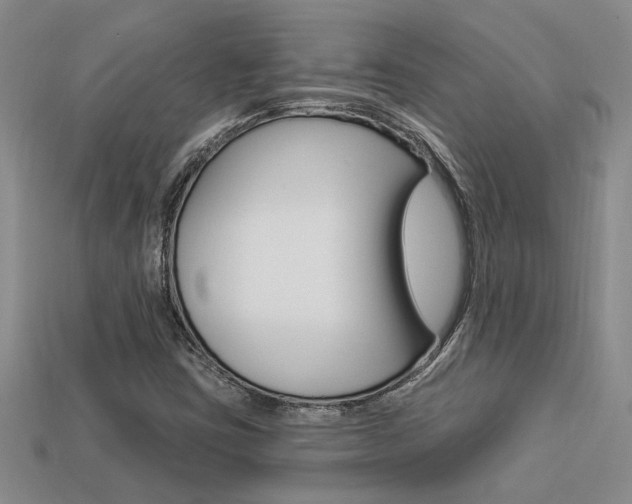 X0000113271403200909101301