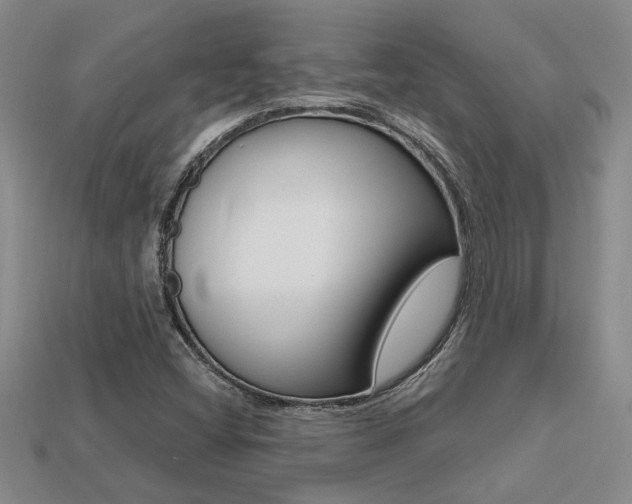 X0000113271404200909101301