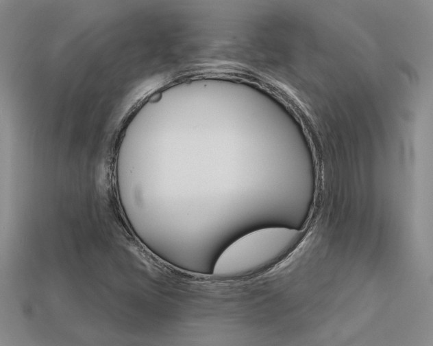 X0000113271405200909101301
