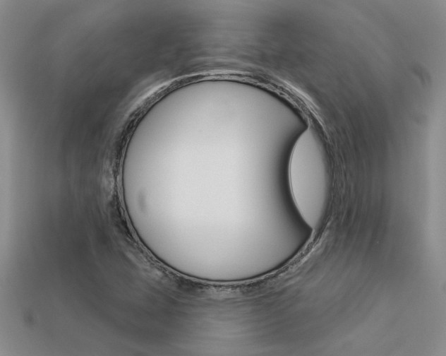 X0000113271407200909101301