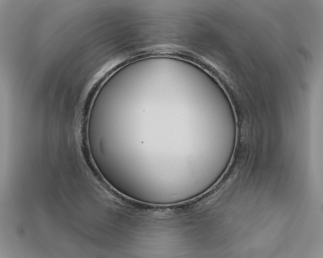 X0000113271410200909101301