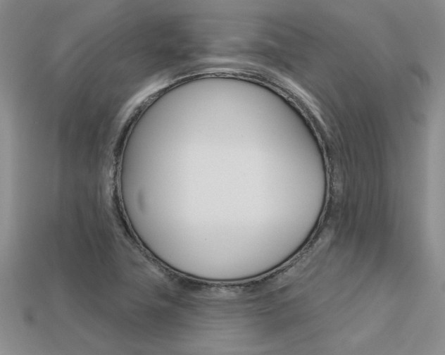 X0000113271411200909101301
