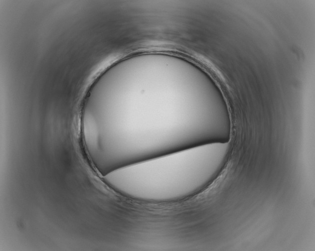 X0000113271413200909101301