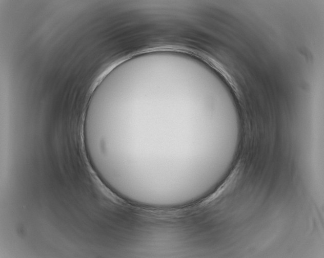 X0000113271417200909101301