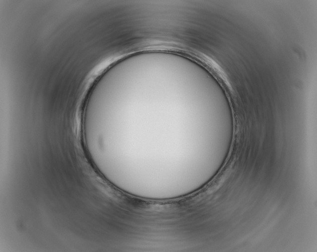 X0000113271419200909101301