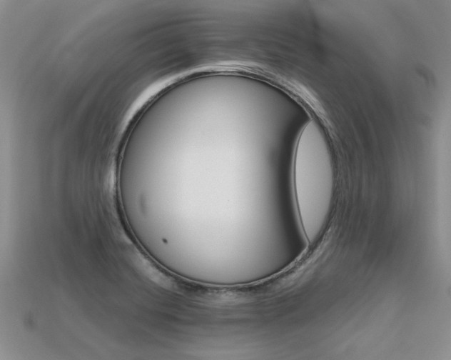 X0000113271420200909101301