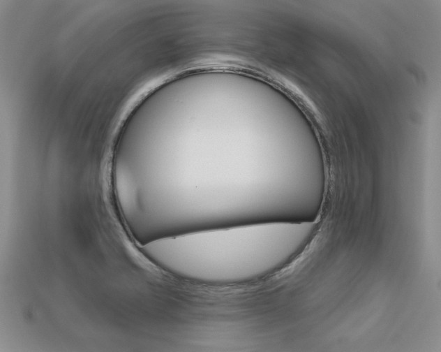 X0000113271421200909101301