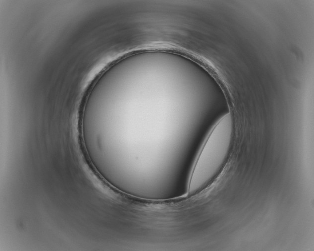 X0000113271422200909101301