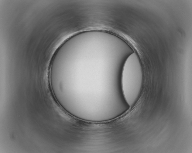 X0000113271423200909101301