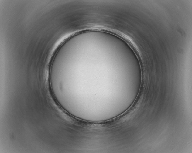 X0000113271424200909101301