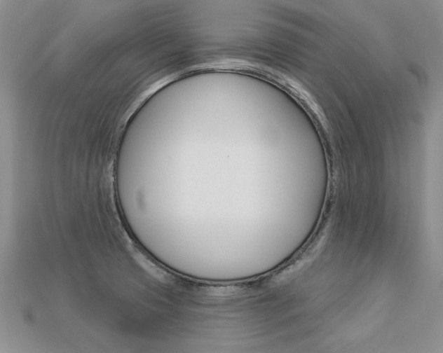 X0000113271425200909101301