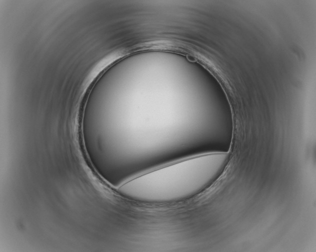 X0000113271426200909101301