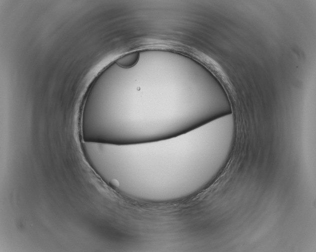 X0000113271427200909101301