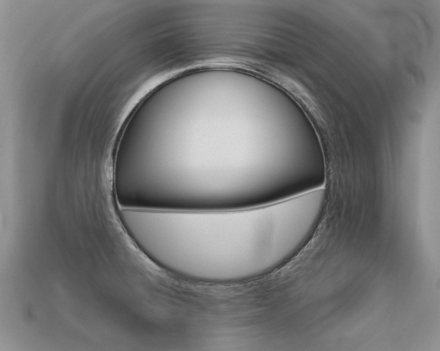 X0000113271428200909101301