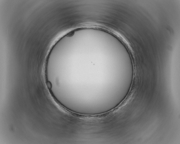 X0000113271429200909101301