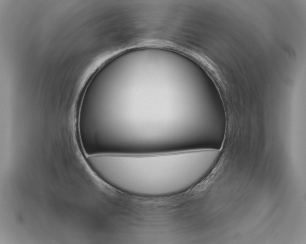 X0000113271430200909101301