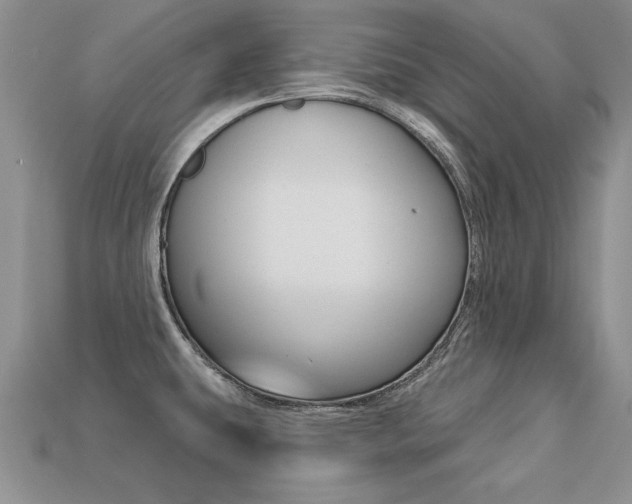 X0000113271431200909101301