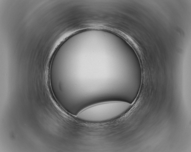 X0000113271432200909101301